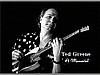 TED GREENE TRIBUTE